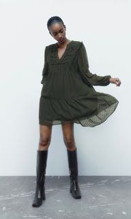 Zara Dotted Mesh Dress with Lace Trim