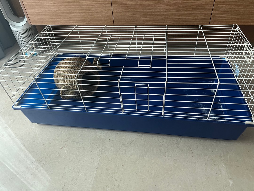 Big W Pet Enclosure atelieryuwa.ciao.jp