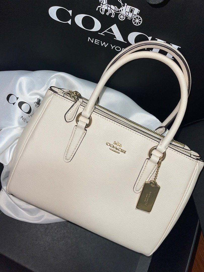 Mini surrey carryall clearance