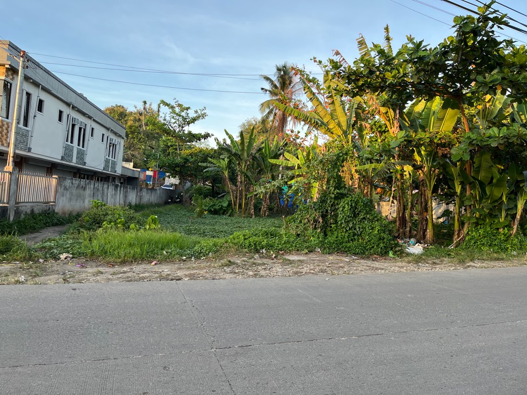 COMMERCIAL LOT FOR SALE AT CPG EAST, TAGBILARAN CITY, BOHOL, Property