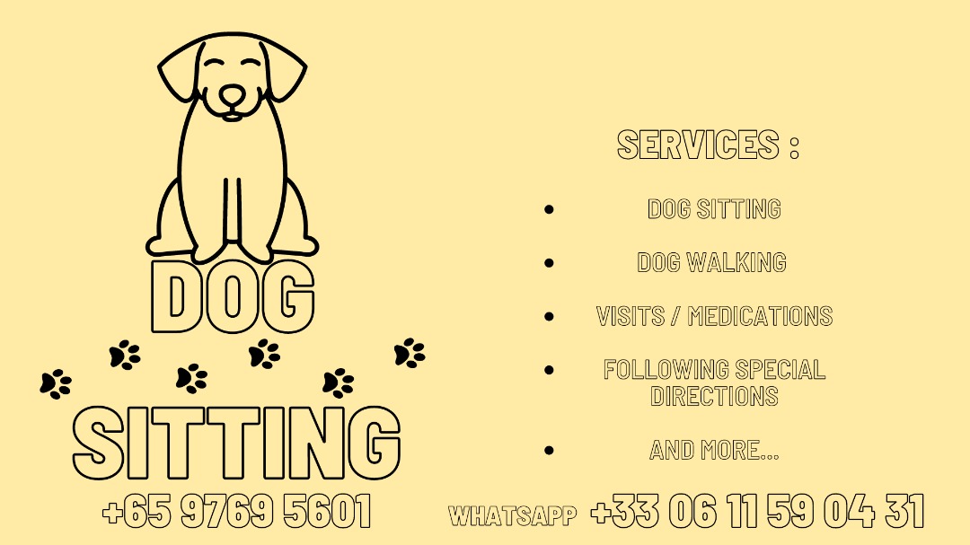 Pet Sitting Services Singapore, Lifestyle Services, Pet Care Services
