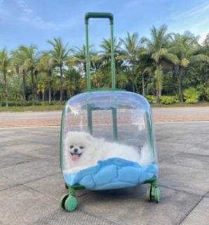 （分類：）位於 。 由 buyy_or_byee 提交（商品編號 1219343178，圖片 1）。簡介： 。