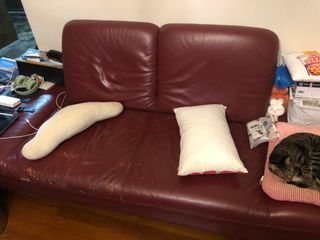 (Category: ) located in . Submitted by jonathanjameschapmanlim (Listing ID 1219333065, Image 1). Description: .