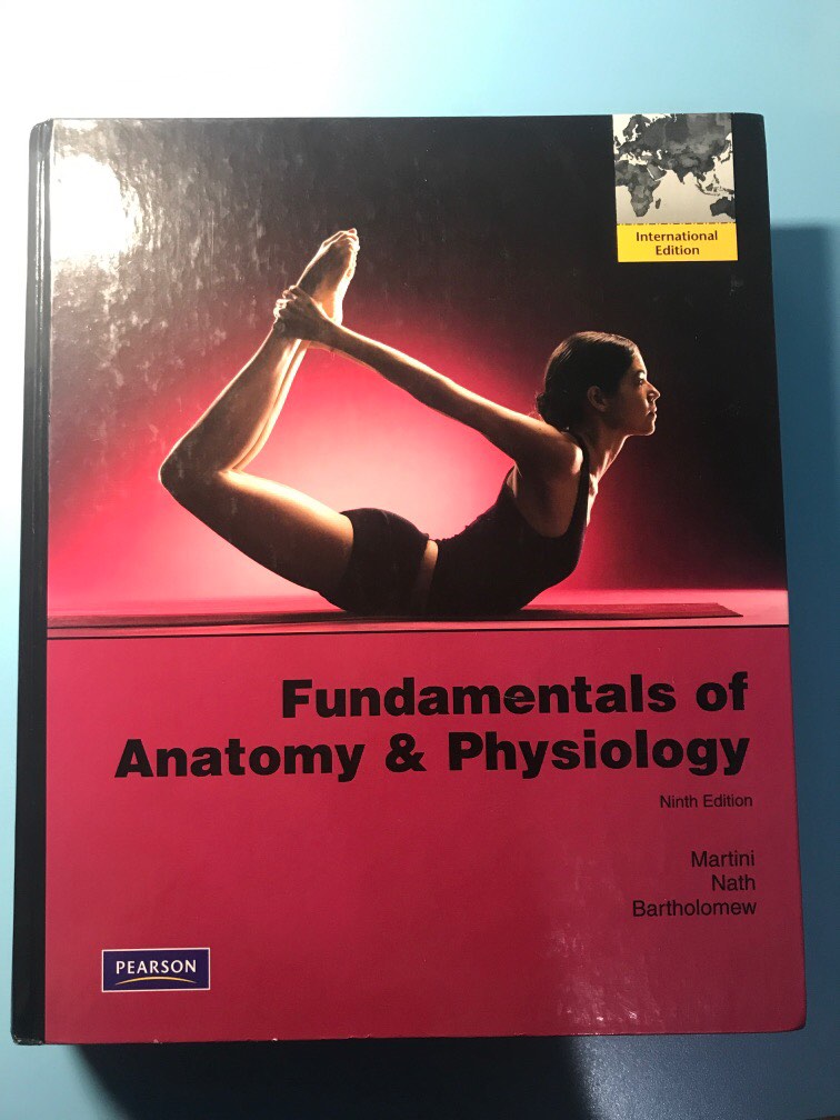 Fundamentals Of Anatomy And Physiology 9th Edition By Martini Nath ...