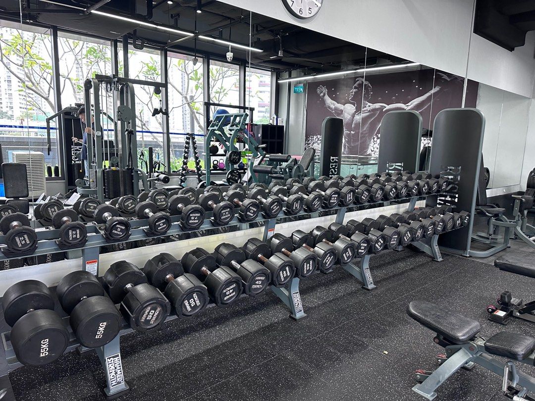 Hammer strength dumbbell best sale set