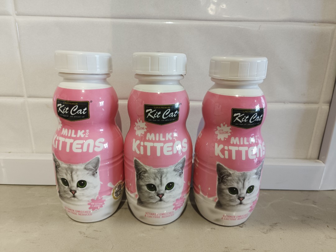 Kitten milk exp 9/3/2023, Pet Supplies, Pet Food on Carousell