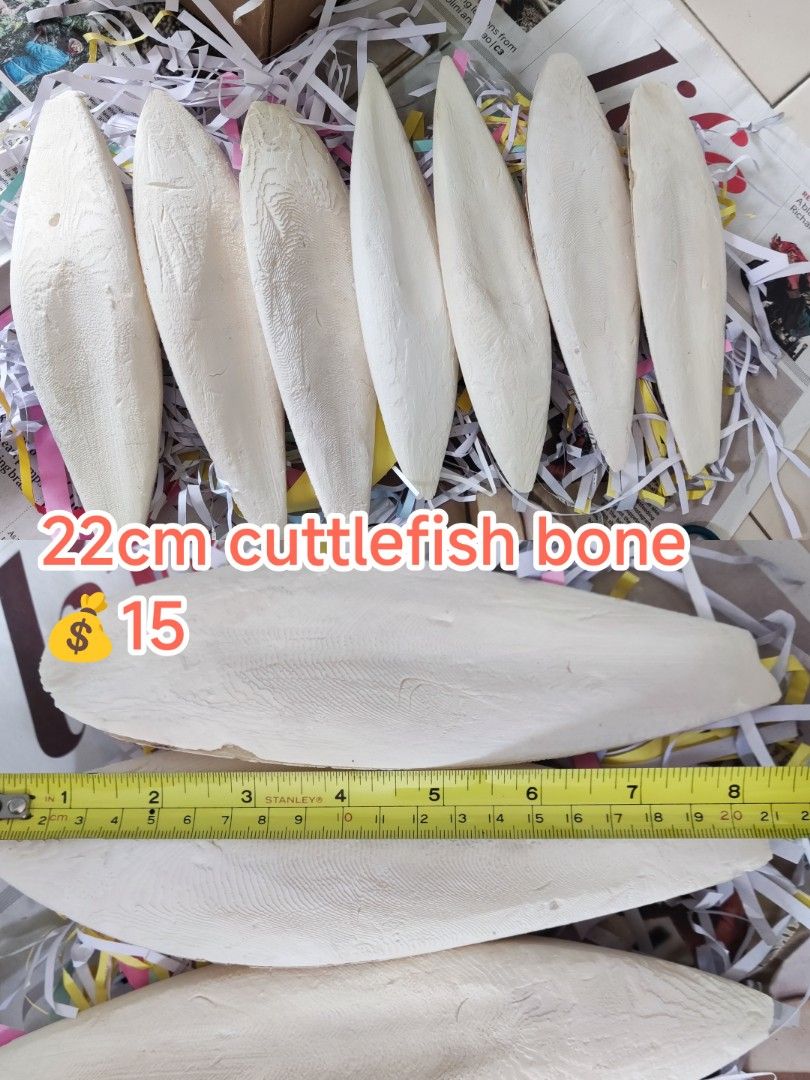 Cuttlefish bone for dogs cheap