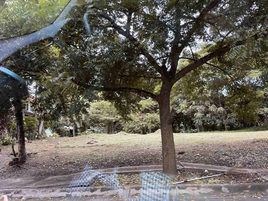(Category: ) located in . Submitted by ddizonreb (Listing ID 1219191867, Image 1). Description: .