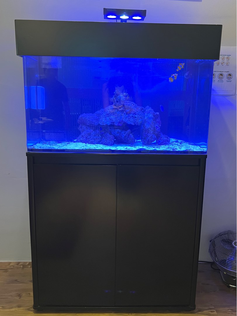 Marine Fish Tank (FULL SET), Sports Equipment, Fishing on Carousell