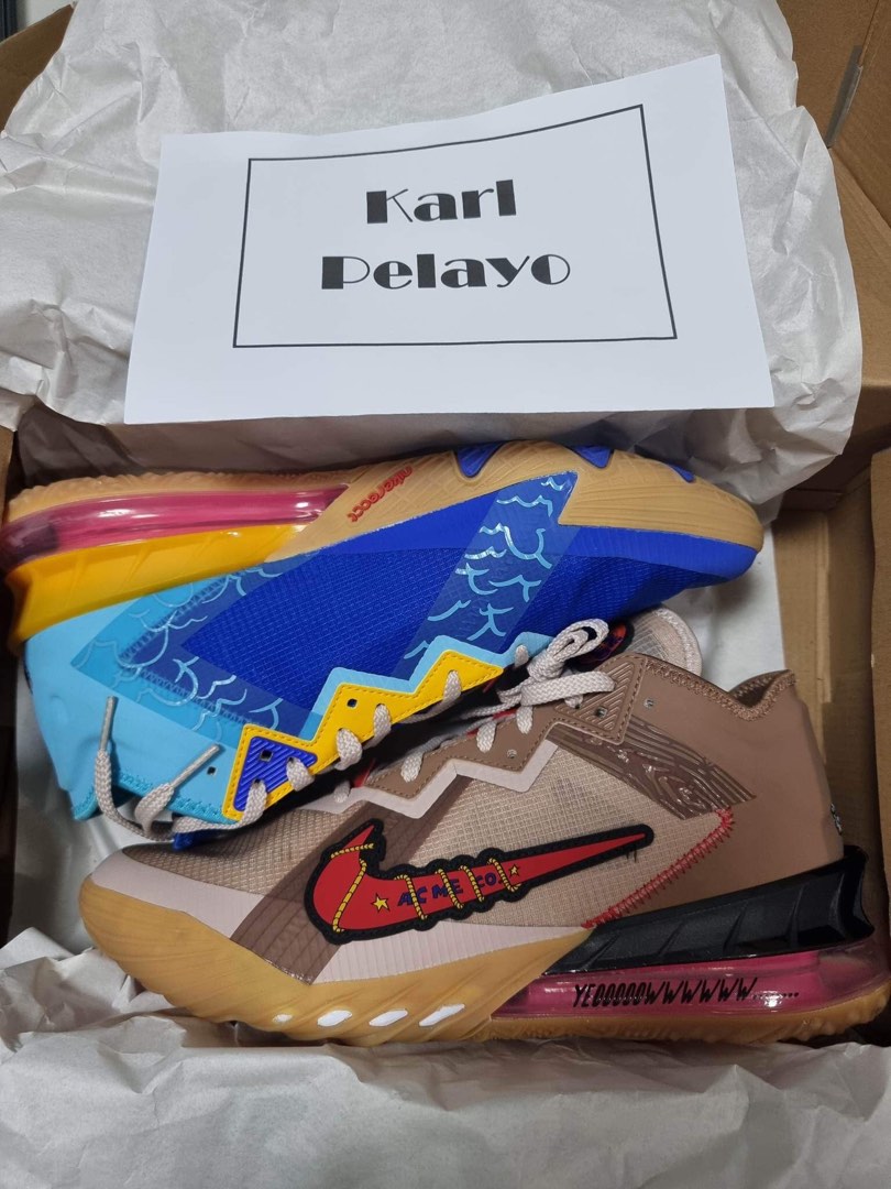 wile e coyote lebron shoes