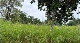 Premium Lot for Sale in Sun Valley, Antipolo City with Natural Waterfalls View