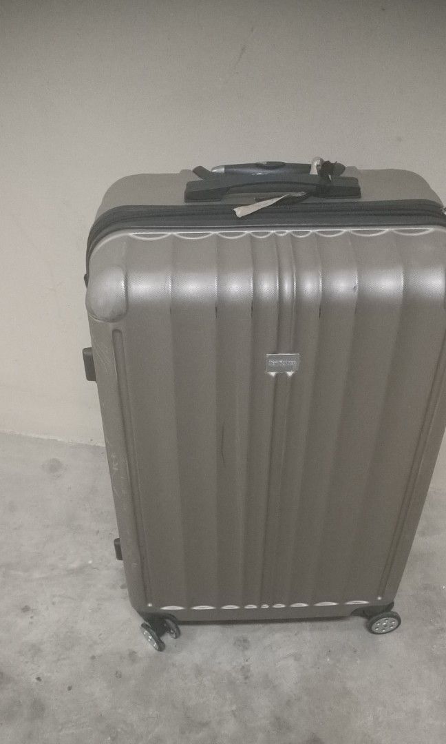 Silver luggage bag, Hobbies & Toys, Travel, Luggage on Carousell