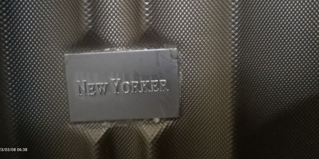 Silver luggage bag, Hobbies & Toys, Travel, Luggage on Carousell