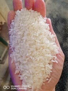 Special Rice - Bigas