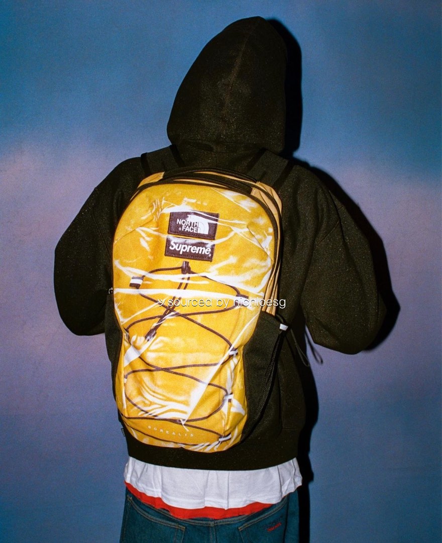 正規品】 Supreme Printed Borealis Backpack technixleo.com
