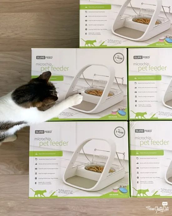 Sureflap surefeed microchip pet feeder sales