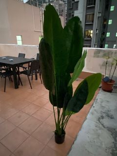 （分類：）位於 。 由 jtjt10 提交（商品編號 1219469598，圖片 1）。簡介： 。