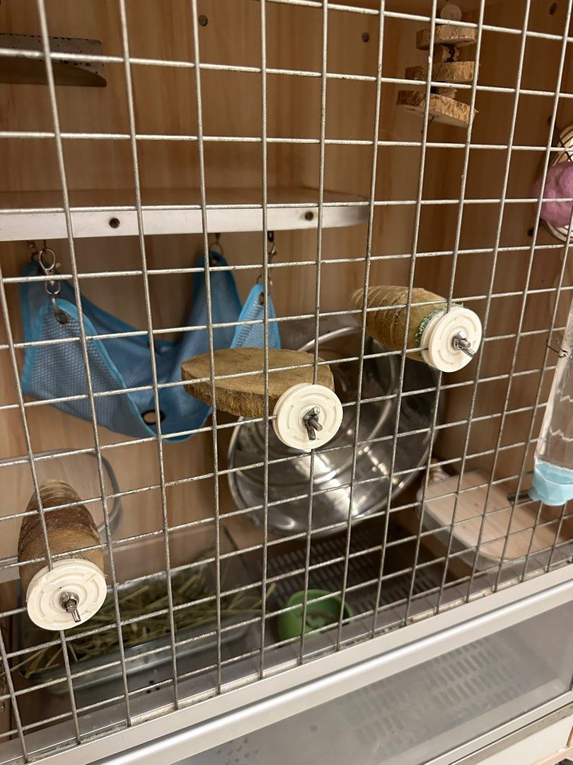 Chinchilla house with a cooling box, Pet Supplies, Homes & Other Pet