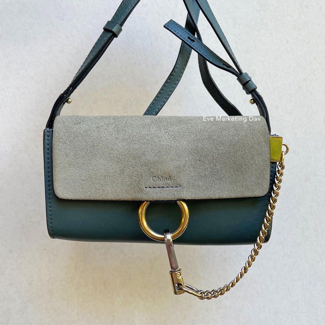 Faye mini 2024