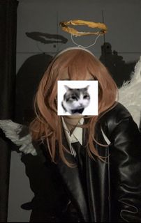 (Category: ) located in . Submitted by Shion (Listing ID 1219459609, Image 1). Description: .