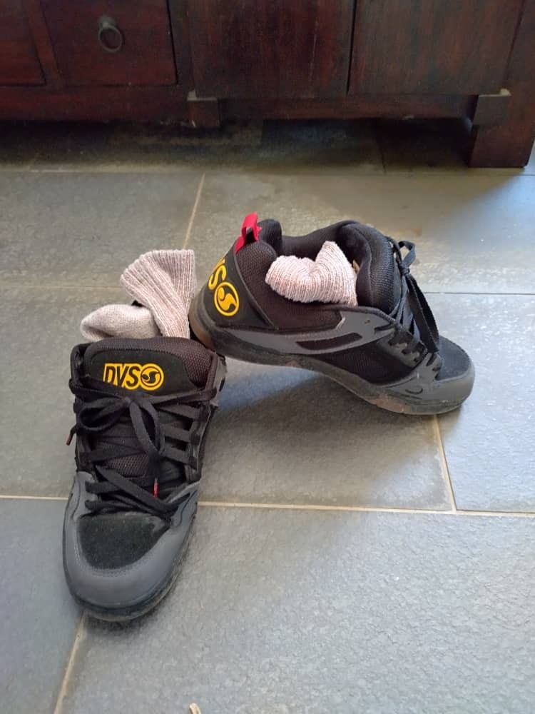 Dvs comanche rasta store