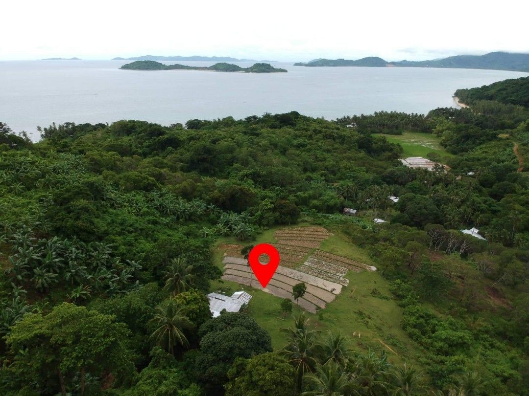 Farm lot with seaview, Property, For Sale, Lot on Carousell
