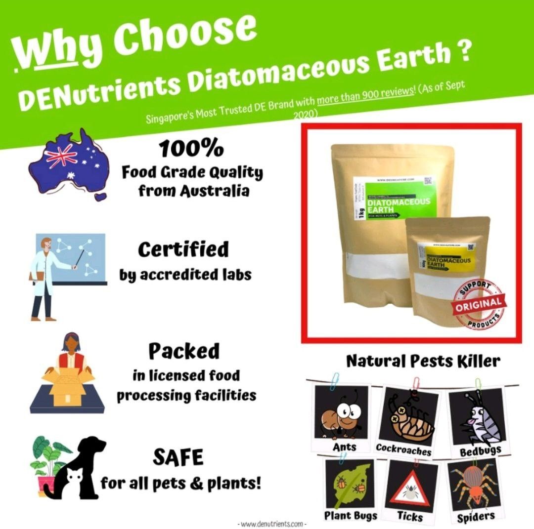 Food Grade Diatomaceous Earth (repack) pest control, Furniture & Home