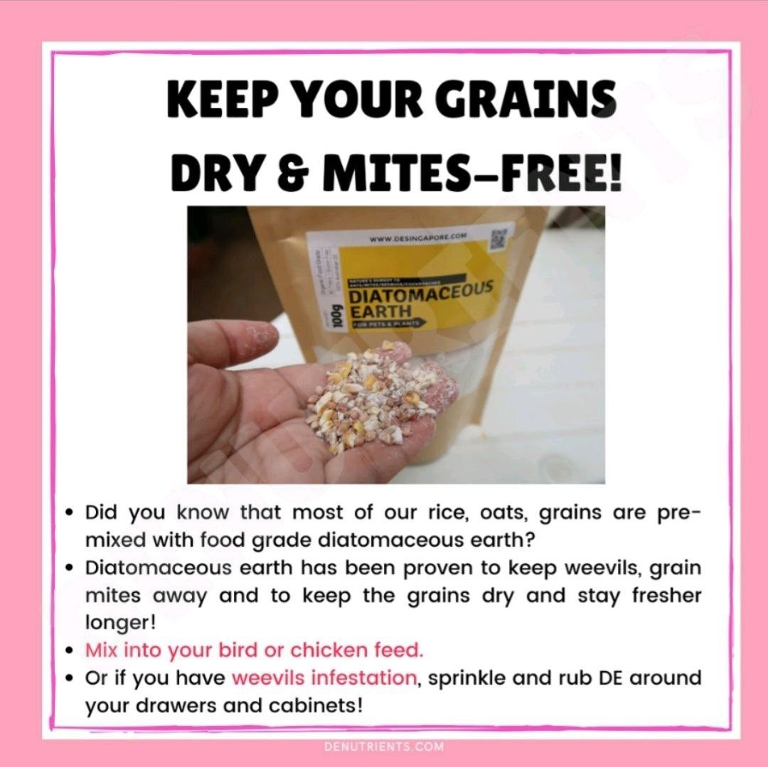 Food Grade Diatomaceous Earth (repack) pest control, Furniture & Home