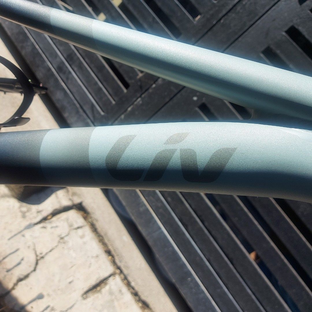 LIV Temp 2, Sports Equipment, Bicycles & Parts, Bicycles on Carousell