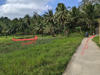 Lot for Sale - ideal for investment, residence or farm