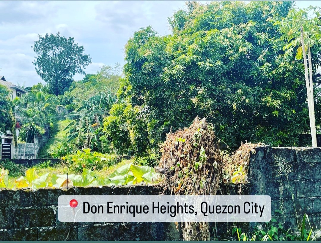 Lot For Sale in Don Enrique Heights Quezon City, Property, For Sale