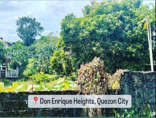 Lot For Sale in Don Enrique Heights Quezon City