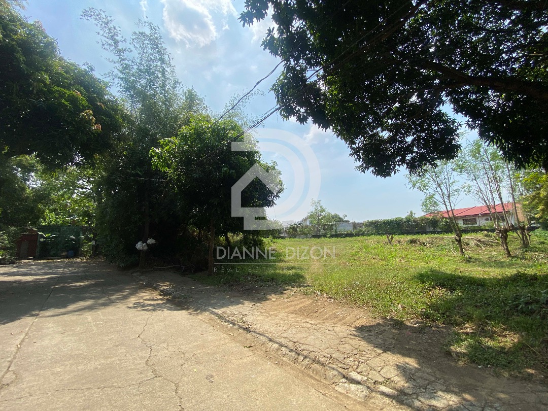 Lot for Sale in Village East Executive Homes, Cainta Rizal, Property