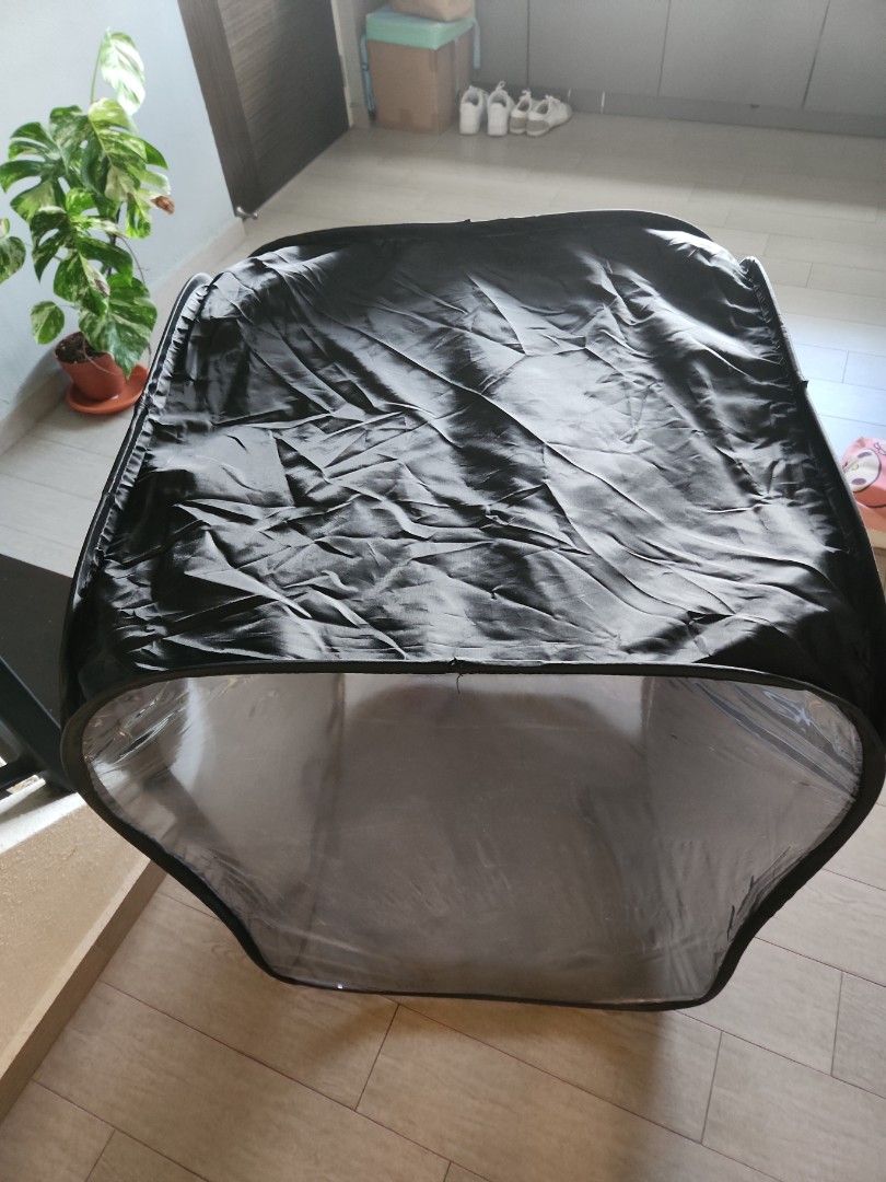 Meshed Insect Enclosure, Pet Supplies, Homes & Other Pet Accessories on ...