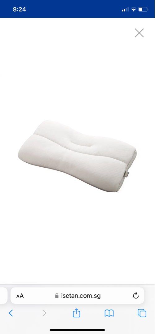 Buckwheat store pillow isetan