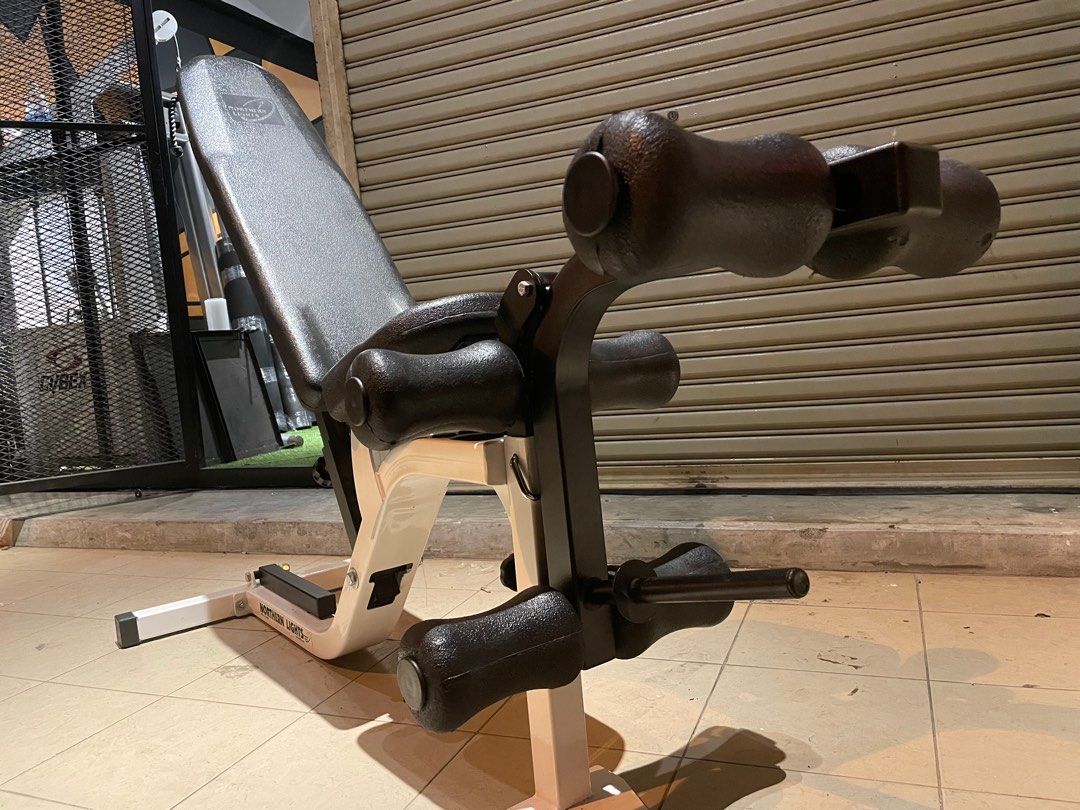Northern lights made in Canada adjustable flat incline decline sit up abdominal ab crunch leg extension curl gym home attachment