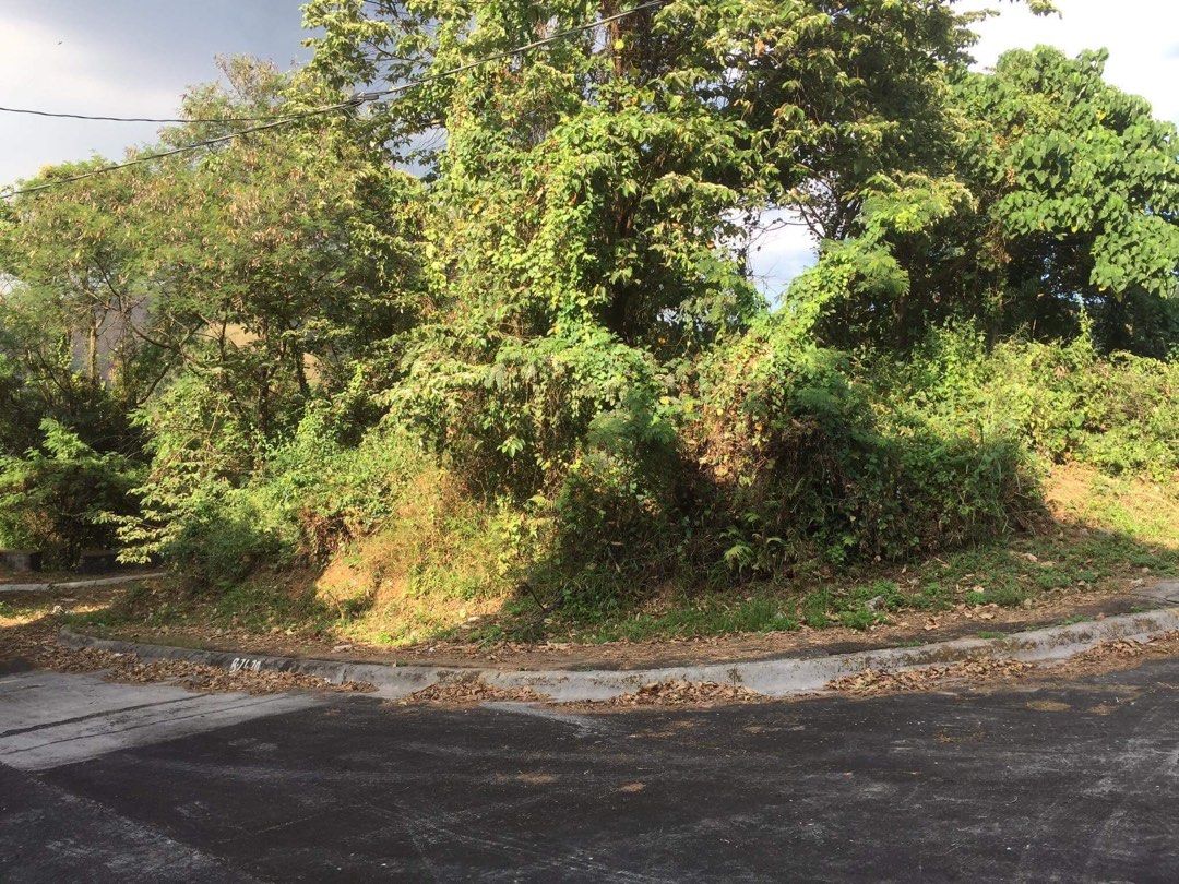 Timberland Heights Banyan Ridge Lot for Sale on Carousell