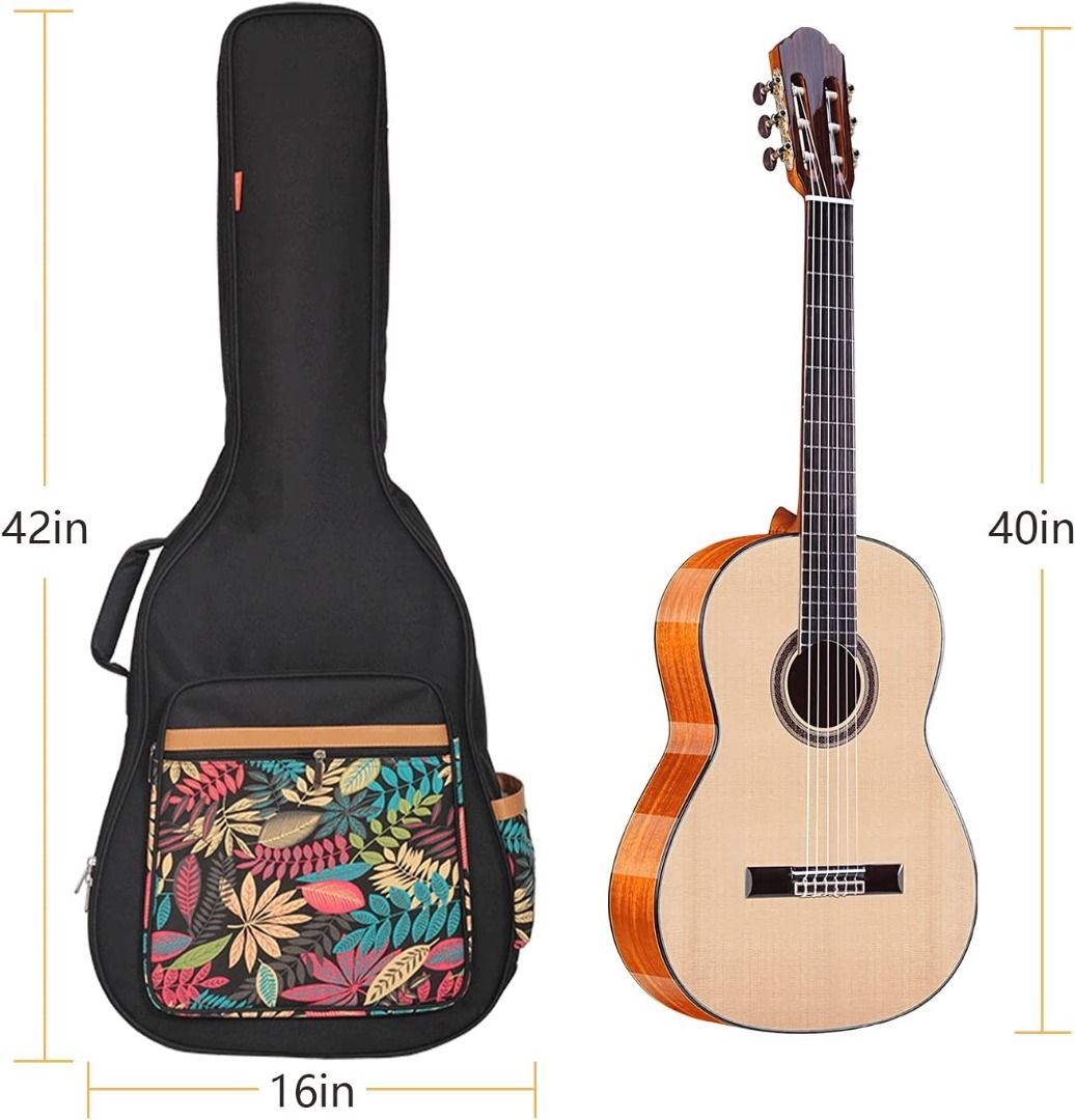 Gig bag guitar best sale case