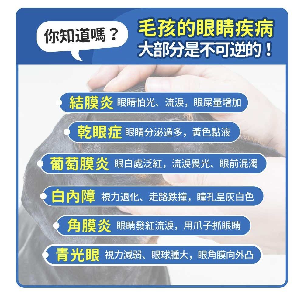 【毛孩時代】8合1游離型葉黃素 （分類：寵物食品）位於 Hong Kong。 由 parallel_select 提交（商品編號 1219612801，圖片 3）。簡介： •規模：一盒30包 •適用對象：犬貓🐶🐱 —————————————————————————— 服用需知： •搭配食物不超過40度 •每餐搭配最多2-3種保健品 •每日建議服用： 0～10kg 一包 10kg～20kg 兩包 20kg以上 三包。