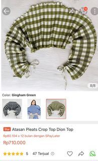 Alexalexa Atasan Pleats Crop Top Dion Top