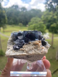 (Category: ) located in . Submitted by auralite2three (Listing ID 1219603538, Image 1). Description: .