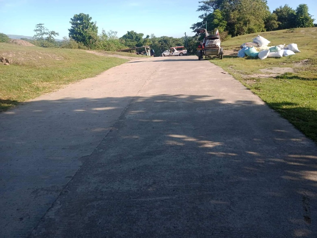 Farm Lot/Agricultural Land for Sale Tarlac, Property, For Sale, Lot on