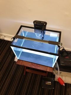 (Category: ) located in . Submitted by fish9087 (Listing ID 1219656967, Image 1). Description: .