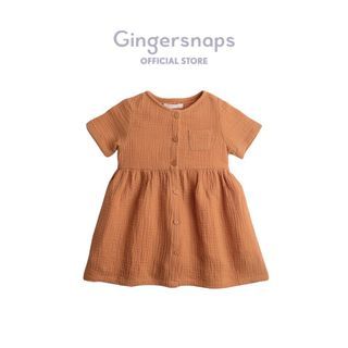 Gingersnaps Baby Sunny Days Dress Caramel Size 12m Dress Bayi Perempuan