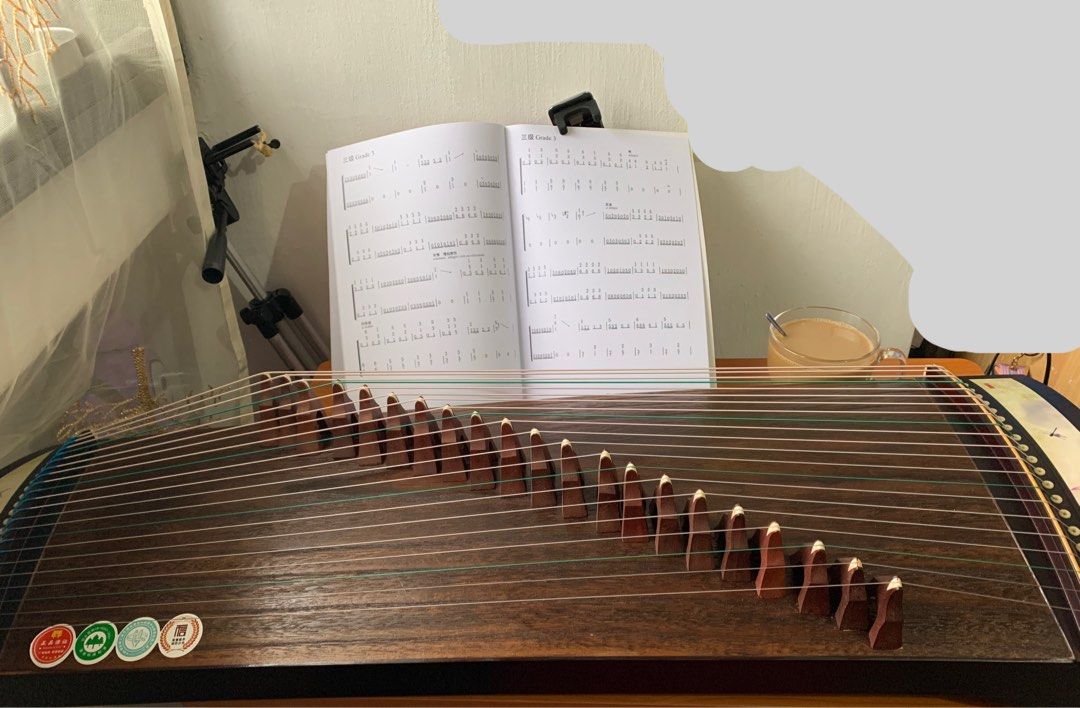 Gu Zheng and Yangqin classes, Learning & Enrichment, Music & Arts