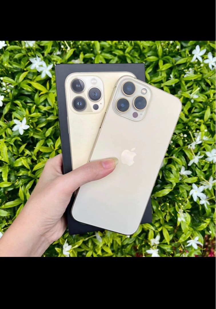 IPHONE 13 PROMAX GOLD 256GB / 5 MONTHS OLD 100 BATTERY CAPACITY on