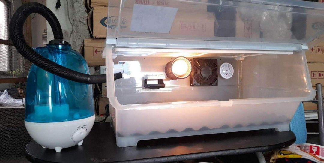 Puppy & Kitten Incubator with HUMIDIFIER on Carousell