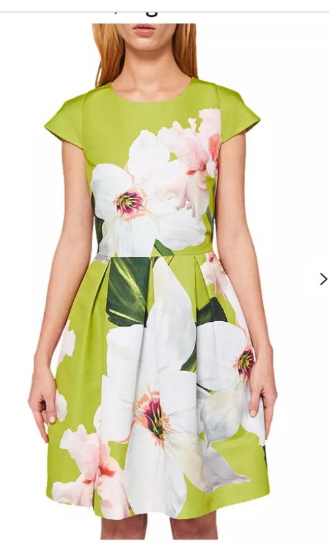 Ted baker dayzey discount dress