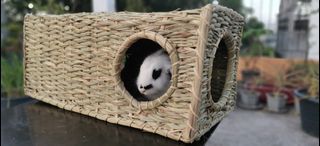 Woven Grass Long  Rectangular Tunnel