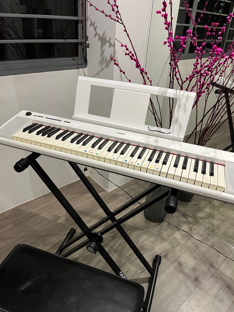 Yamaha piaggero store np12 used
